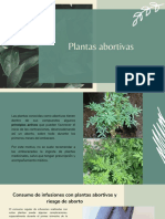 Plantas Abortivas