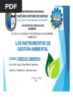 Instrumentos de La Gestion Ambiental