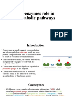 Co-Enzymes Role in Metabolic Pathways