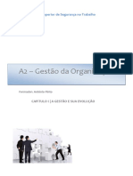 Manual - Gestão Das Organizações - Capitulo 1