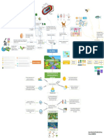 Mapa Mental Entorno Vivo