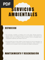 Servicios Ambientales DIAPOSITIVAS