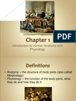 Introduction To Human Anatomy and Physiology