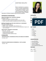 83 Curriculum Vitae Laboral