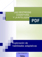 Discapacidad Intelectual Habilidades Adaptativas