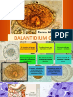 Balantidium Coli