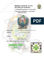 Ayacucho - Perú 2021: Universidad Nacional de San Cristóbal de Huamanga