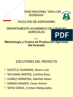 Trabajo de Granada Correcto