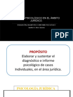 13 - Informe Psicológico en El Ámbito Jurídico 2020 10