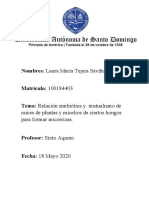 Relacion Simbiótica y Mutualismo de Raíces de Plantas y Micelios de Ciertos Hongos para Formar Micorrizas.