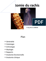 Anatomie Du Rachis