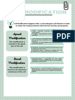 Cell Modification