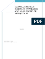 Impactos Ambientais No Municipio de Mesquita RJ