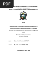 Universidad Nacional Daniel Alcides Carrión: Escuela de Formación Profesional de Ingeniería Ambiental