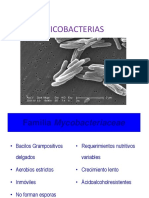 Mico Bacterias