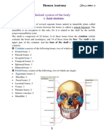 04 Human Anatomy 1st Year