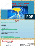 Anatomie Et Physiologie Du Système Nerveux 2-1