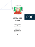 Informe Sistema Oseo