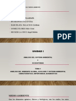 Unid.1-Tema.1-Analisis Del Sistema Ambiental