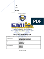 Ácidos Carboxílicos Lab