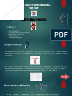 Anatomìa Clase 1