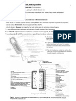 Chapter 2: Structure of Cells and Organelles