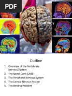 Lecture 3 - Anatomy - ForUpload