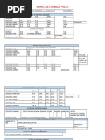 HORAS DE TRABAJO POLOS Ame
