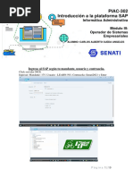 Desarrollo de Examen Final Introduccion Al Sap