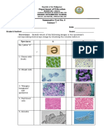 Department of Education: Corresponding Microscope Image by Checking The Column Before It