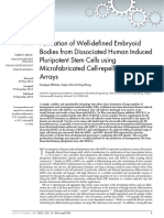 WelldefinedhumanEB-microwell Arrays