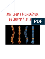 Anatomia e Biomecânica Da Coluna