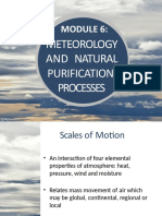 Meteorology and Natural Purification Processes