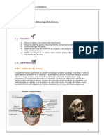 Unidad Temática 05. - Osteología Cráneo