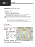 Unidad Temática 11. - Osteoartrología Tórax