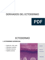 Lab 9 Derivados Del Ectodermo