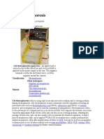 Gel Electrophoresis Apparatus - An Agarose Gel Is