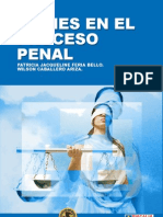 Los Bienes en El Proceso Penal