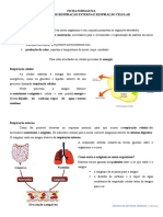 Ciências - Sistema Respiratório e Circulatório