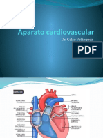 Sistema CV 3