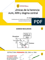 03.ADN y Dogma Central 2022