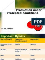 Tomato Production Under Protected Conditions: Dr. A.K.S Rawat