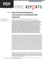 Role of Inter-Hemispheric Connections