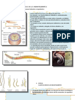 Biologia 1