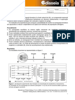 Odisseia10 Questao Aula 2