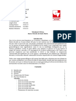 Trabajo Final Geomorfología