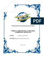 Comercio Exterior Tarea