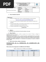 INF 08-QI2 - Estudio Del Azufre II