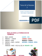 Tarea de La Semana 3-Anatomia y Fisiologia-Jose Pari Ramirez