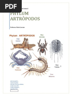 Artropodos